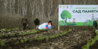 Более 4 тысяч жителей приняли участие в акции «Сад памяти» в Самарской области - ProGorodSamara.Ru