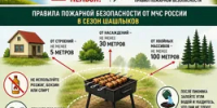 Жителям Башкирии напомнили правила приготовления шашлыков - Башинформ