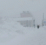 Снег. Метель. Непогода - Noyabrsk-Inform.Ru