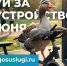 Более 85 тысяч волгоградцев проголосовали за объекты благоустройства - Администрация области