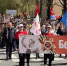 Волховчане пронесли портреты героев по центральным улицам города - SyasNews.Ru