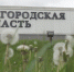 Четверо жителей Белгородской области пострадали из-за дроновой атаки ВСУ - Говорит Москва