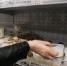 Волгоградцам рассказали о правилах расшифровки сроков годности продуктов - Газета Вечерний Волгоград