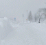Снег. Метель. Непогода - Noyabrsk-Inform.Ru