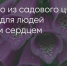 Поделитья во ВКонтакте - Братская Студия Телевидения
