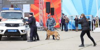 Работу ППС и кинологов в День Победы продемонстрировали полицейские ЕАО - РИА Биробиджан