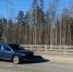 В Городищенском районе автомобиль врезался в лося и опрокинулся - Progorod58.Ru