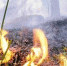 Памятка по пожарной безопасности в весенне-летний период. - Северо-Енисейский муниципальный округ