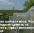 Горячая майская пора. Что необходимо сделать на участке в первой половине месяца - Самарская Газета