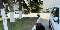 Благоустройство территорий города к празднованию Дня Победы - Калязинский колледж