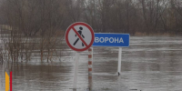 В Воронежской области осталось 2 затопленных моста - РИА Воронеж