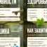 Меры предосторожности в сезон повышенной клещевой активности - ГТРК Лотос