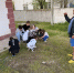 img - ЛДПР