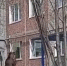 В Апатитах лось попробовал «зайти» в окно многоэтажки [видео] - SeverPost.ru