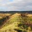 Фото: t.me/omelnichenko - Penza-Post.Ru
