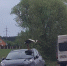 Под Воронежем заметили аиста, сидящего на крыше автомобиля - РИА Воронеж