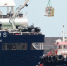 ВОЗ подтвердила 9 случаев заражения хантавирусом из-за ситуации с MV Hondius - M24.Ru