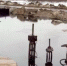 На севере Сахалина нефть вышла на поверхность земли - Baikal24.Ru