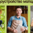 Трудовые права молодежи - Управление образования