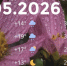 Bazaart_0E78C40E-A21F-4125-9540-9BEA73ED5DF9 - ЗА Новомосковск