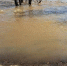 Вода в Томи поднялась: в Новокузнецком округе временно закрыли несколько дорог - ИА Город Новостей