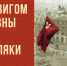 В Нерчинском музее открыта выставка «Подвигом славны твои земляки» - Краеведческий музей