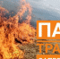 Нет палу травы. - Кичменгско-Городецкий муниципальный округ