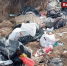 В Бурятии завалили мусором берег Оронгоя рядом с буузными - ВостокТелеИнформ