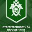 В День экологического образования региональное следственное управление предупреждает об ответственности за правонарушения и преступления в природоохранной сфере - Следственный комитет