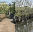 В Белове вода постепенно уходит из затопленных огородов - ГТРК Кузбасс