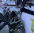Парень с девушкой попали в больницу после лобового ДТП с автобусом №8 в Воронеже - Обозреватель.Врн