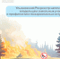 Ульяновский Росреестр напоминает владельцам земельных участков о профилактике пожароопасных ситуаций. - Старомайнский район