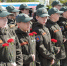 background - Вологда-поиск