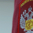 Роспотребнадзор: Ленобласть в числе регионов с наибольшим количеством укусов клещей - Кингисепп-сегодня.рф