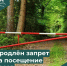 #КурганГородТрудовойДоблести   #45кодПобеды

Возникли трудности при ведении бизнеса в регионе?

Напишите, чтобы быстро получить ответ

Написать

Начало » Новости » Архив новостей » 2026 » Апрель » продлен запрет на посещение гражданами лесов

продлен запрет на посещение гражданами лесов - Департамент природных ресурсов