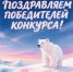 Поздравляем победителей конкурса "Арктика, есть идея!" - Институт открытого образования