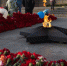 В новых районах Подмосковья обустроят локации, посвящённые Дню Победы - РТВ-Подмосковье
