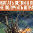 🔥 Как сжигать ветки и листья на даче и не получить штраф. - Спас-Деменский район