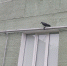 1-M9j4W3h4QHHT2K-xMFH3OZNItYD8zNZwOfT8puetCYzuk490c5kQXIL8IQbZ6zI.jpg - Ozersk74.Ru