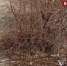 image - GazetaRB.Ru