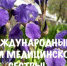 12 мая – Всемирный день медицинской сестры. В больнице им. Пирогова работает 498 медицинских сестер - ГКБ им. Н.И. Пирогова