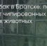 Поделитья во ВКонтакте - Братская Студия Телевидения
