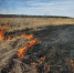 Пожарные Сосновоборского муниципального округа тушили транспорт, мусор и траву: спасатели напоминают об особом противопожарном режиме - Газета Рабочий