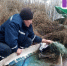 В Корткеросском районе нашли заведенную моторную лодку без водителя - ИА Комиинформ