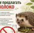 Орловцев просят не трогать ёжиков - InfoOrel.Ru