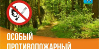 В Самаре за месяц с начала установления особого противопожарного режима проведено более 10 профилактических рейдов по недопущению возгораний в частном секторе, садово-дачных товариществах и городских лесах. - НИА Самара