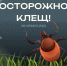 Осторожно: клещи. - Красногвардейский район