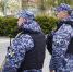 Три уголовника и несовершеннолетняя девушка попались на краже в Жуковке - БрянскToday.Ru