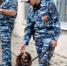 JPG Файл - Отдел МВД России по Абинскому району