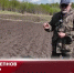 Видео - ТВН